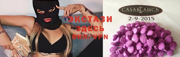 прущие грибы Богданович