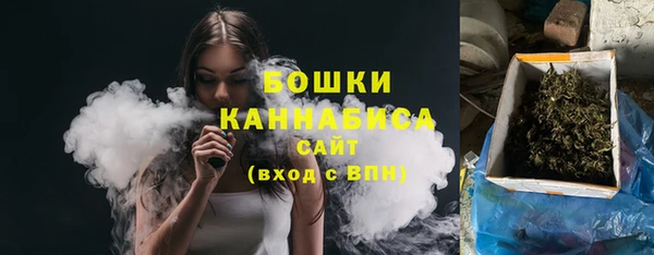 прущие грибы Богданович