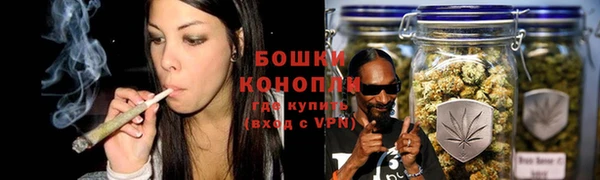 твердый Богородск