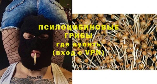 твердый Богородск