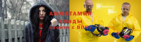 дживик Бронницы