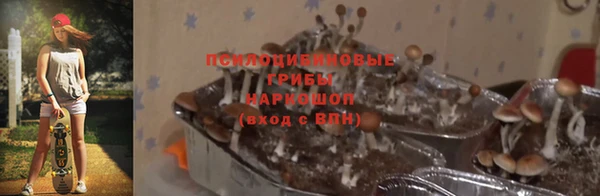 твердый Богородск
