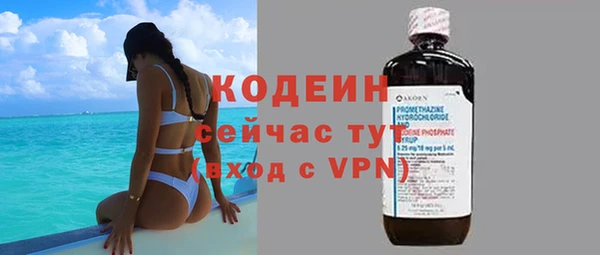 прущие грибы Богданович