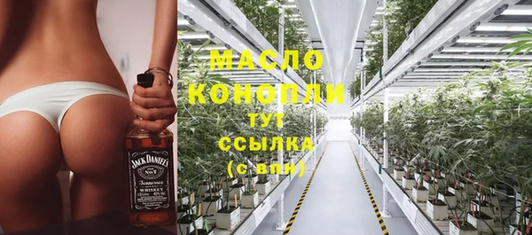 индика Бородино