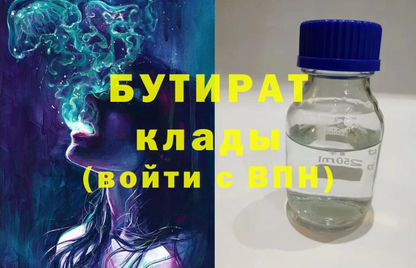 индика Бородино