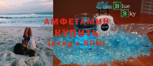 индика Бородино