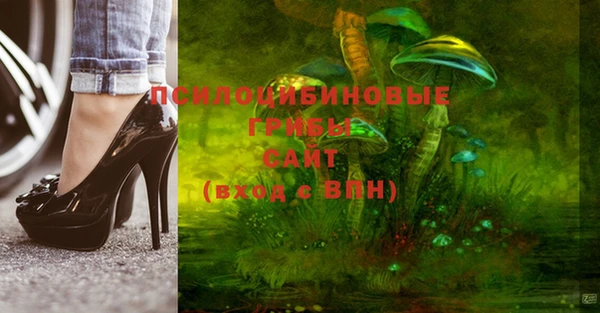 прущие грибы Богданович