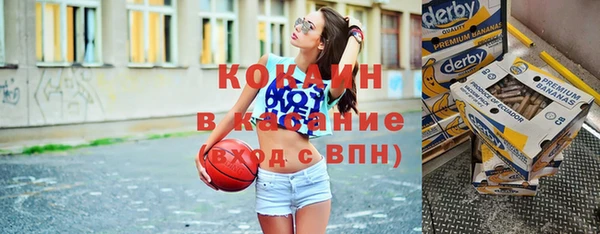 прущие грибы Богданович