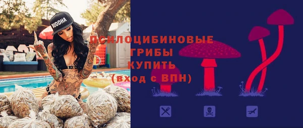 прущие грибы Богданович